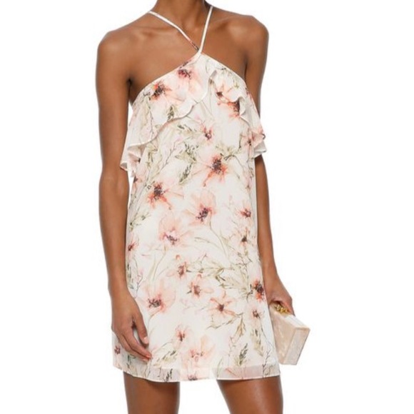 Haute Hippie Dresses & Skirts - Haute Hippie Ruffle Floral Print Mini Dress